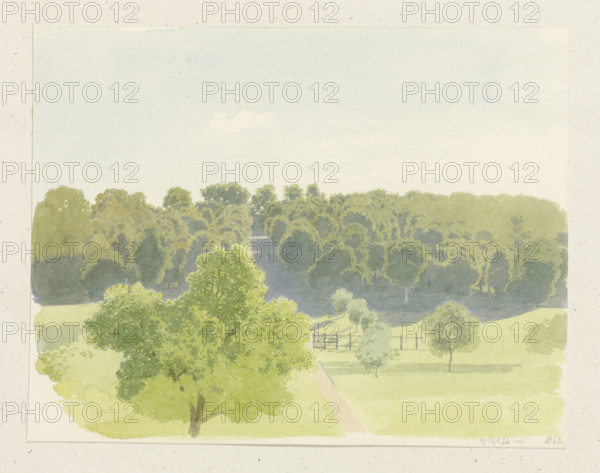 Country road between woods, 1862. Creator: Carl Theodor Reiffenstein.