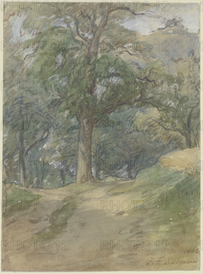 Sunny forest path, 1862. Creator: Jakob Dielmann.