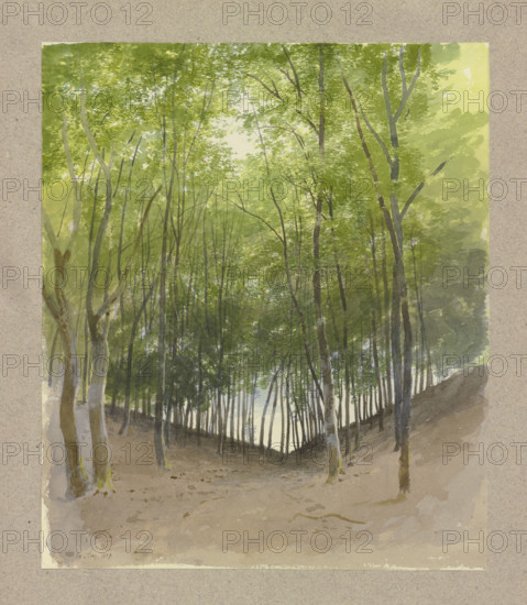 Woodland scene in a valley bottom, 1859. Creator: Carl Theodor Reiffenstein.