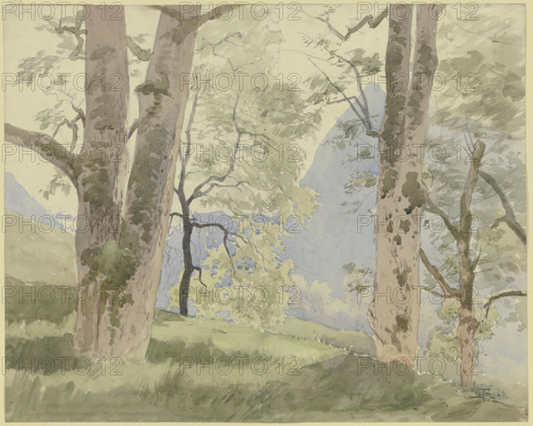 Black Forest landscape: view from the edge of the forest to the mountains, 1862. Creator: Hans Thoma.