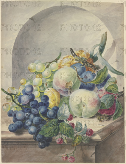 Fruit scene in a niche on a marble table, plums, peaches, grapes, and blackberries. Creator: Paul Theodor van Brussel.