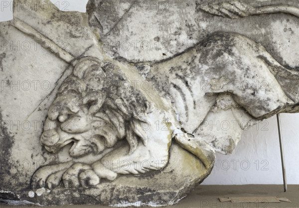 Fragment of a Roman relief which depicts a lion, Museum of Miletus, Turkey, 1999. Creator: LTL.