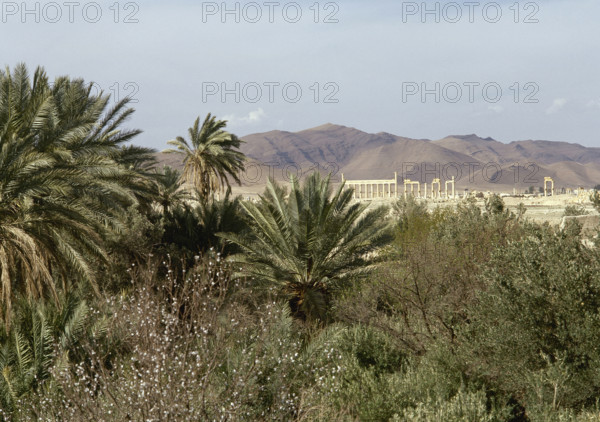 The Oasis of Palmyra, Syria, 1999.  Creator: LTL.