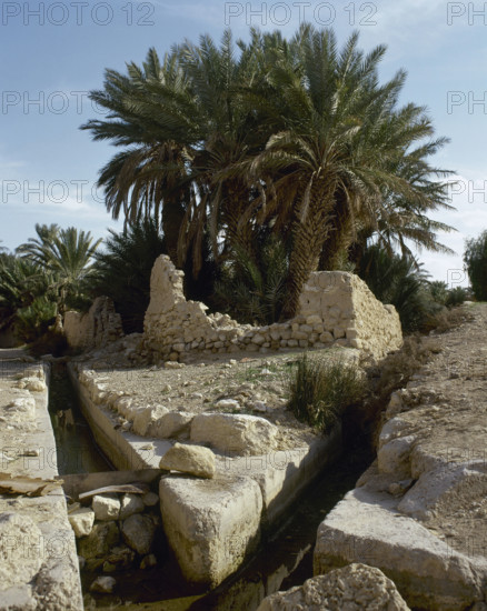 The Oasis of Palmyra, Syria, 1999.  Creator: LTL.