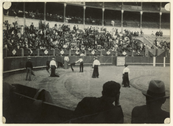Bullfight, Spain, early-mid 20th century. Creator: Edward Morland Lewis.