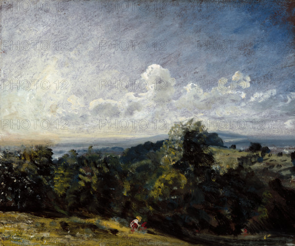 Hampstead Heath looking towards Harrow (I), 1821. Creator: John Constable.