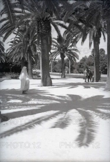 Parc Lyautey, Casablanca, Morocco, c1955. Creator: Arthur Charles Kirby Ware.