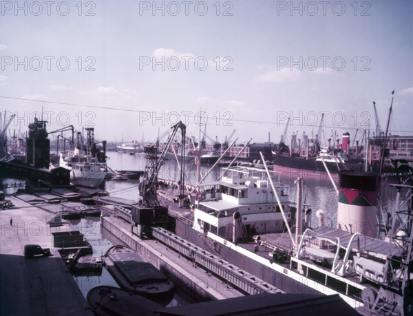 Victoria Dock, London, c1955. Creator: Arthur Charles Kirby Ware.