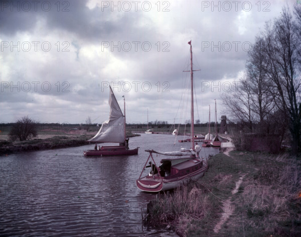 Norfolk Broads, c1955. Creator: Arthur Charles Kirby Ware.