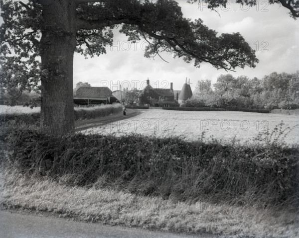 Oast houses near Goudhurst, Kent, c1955. Creator: Arthur Charles Kirby Ware.