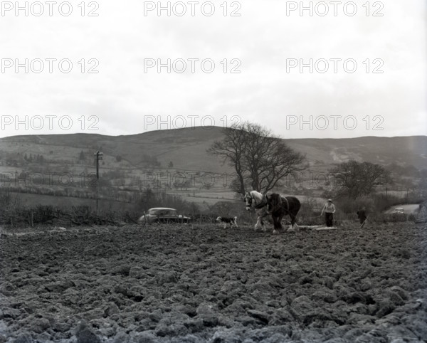 Ploughing, Wales, c1955. Creator: Arthur Charles Kirby Ware.