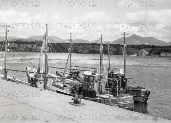 Prawn drifters, Kilkeel Harbour, County Down, Northern Ireland, c1955. Creator: Arthur Charles Kirby Ware.