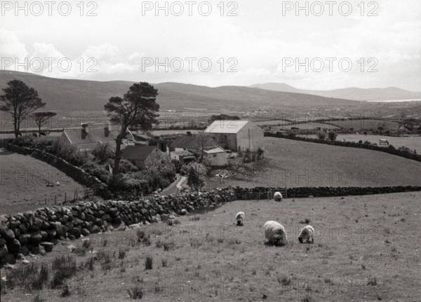Mourne Mountains, County Down, Northern Ireland, c1955. Creator: Arthur Charles Kirby Ware.