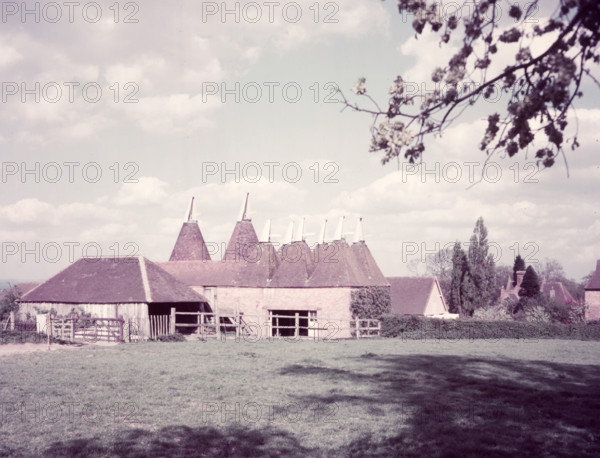 Oast houses, Sissinghurst, Kent, c1955.  Creator: Arthur Charles Kirby Ware.