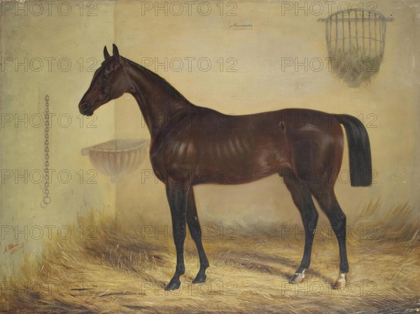Magnifique Bay Horse, 1853. Creator: Alexander Schwabe.