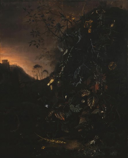Flowers, a Hedgehog and a Frog, 1660. Creator: Matthias Withoos.