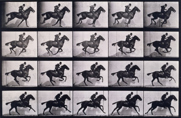 Gallop, 1872-1885.   Creator: Eadweard J Muybridge.