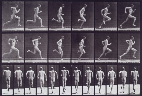 Running at full speed, 1872-1885.  Creator: Eadweard J Muybridge.