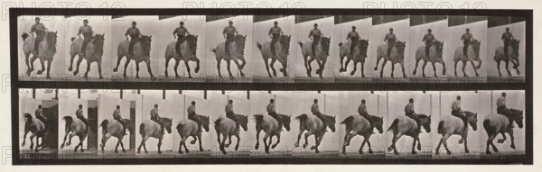 Gallop, 1872-1885.  Creator: Eadweard J Muybridge.