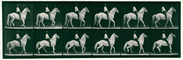 Walking, 1872-1885.  Creator: Eadweard J Muybridge.