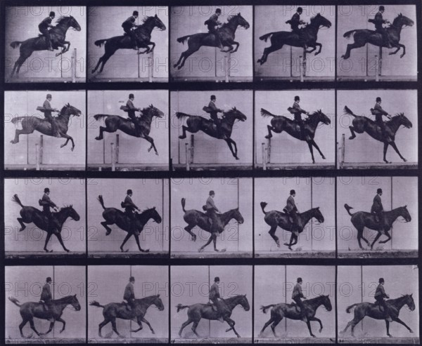 Jumping a hurdle,  1872-1885. Creator: Eadweard J Muybridge.