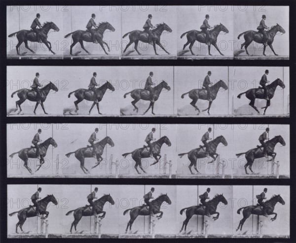 Jumping a hurdle, 1872-1885.  Creator: Eadweard J Muybridge.