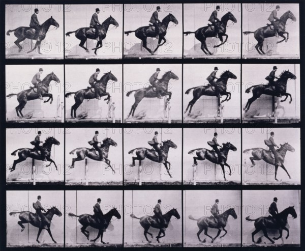 Jumping a hurdle, 1872-1885.  Creator: Eadweard J Muybridge.