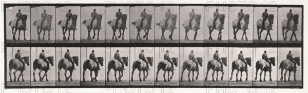 Walking , 1872-1885.  Creator: Eadweard J Muybridge.