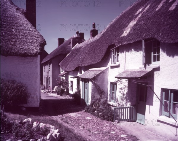 Hope Village, Devon, c1955. Creator: Arthur Charles Kirby Ware.