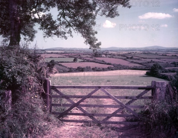 View from Clarbeston, Pembrokeshire, c1955.  Creator: Arthur Charles Kirby Ware.