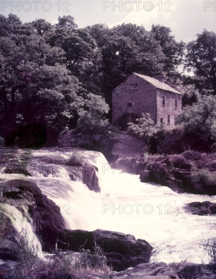 Salmon leap at Cenarth, Carmarthen, c1955.  Creator: Arthur Charles Kirby Ware.