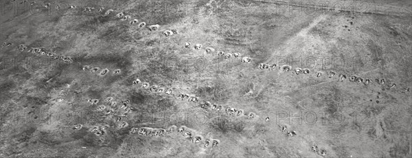 Fantassins ayant creusé leurs lignes de trous individuels à la suite suite d'une progression. - La guerre de mouvement vue par une photographie aérienne, juillet 1918.