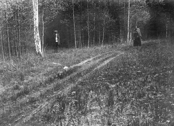 L'enquête en 1920 sur le massacre de la famille impériale à Ekaterinbourg. Mars 1917, c'est à Tsarskoié-Sélo que les Romanov passent captifs, les 5 mois qui suivent la révolution. Au mois d'août 1917, les Romanov sont transférés à Tobolsk. Avril 1918, après l'arrivée au pouvoir des bolcheviks, les Romanov sont de nouveau transférés de Tobolsk à Ekaterinenbourg. Dans la nuit du 16 au 17 juillet 1918 la famille Romanov est massacrée par les bolchevicks, dans la maison Ipatief.