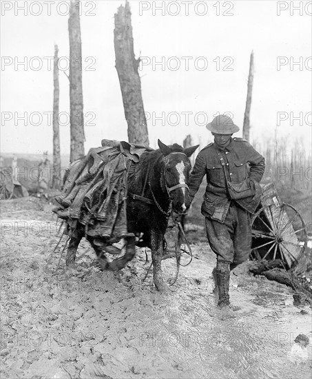 La bataille de la Somme, 1916