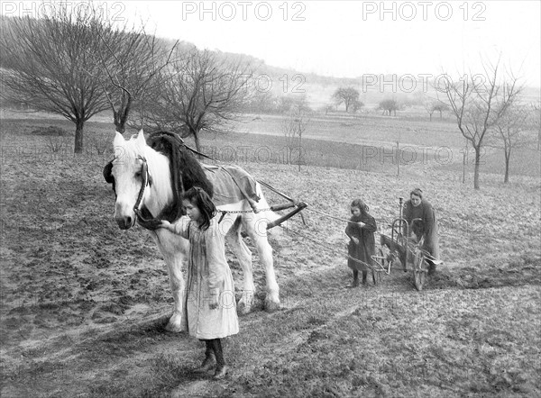 Le travail des femmes pendant la première guerre mondiale