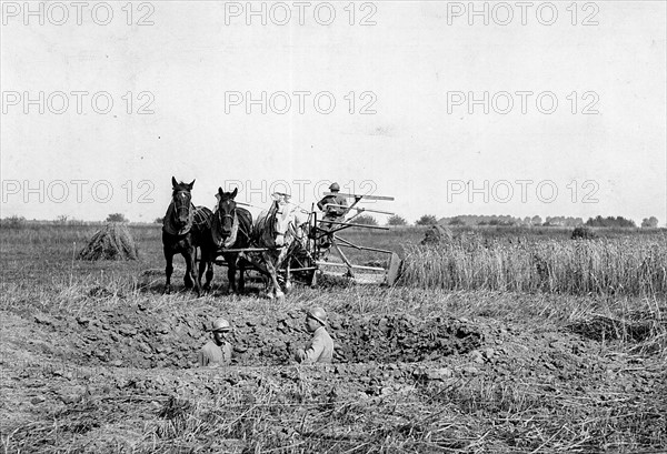 Battle of the Somme, 1916