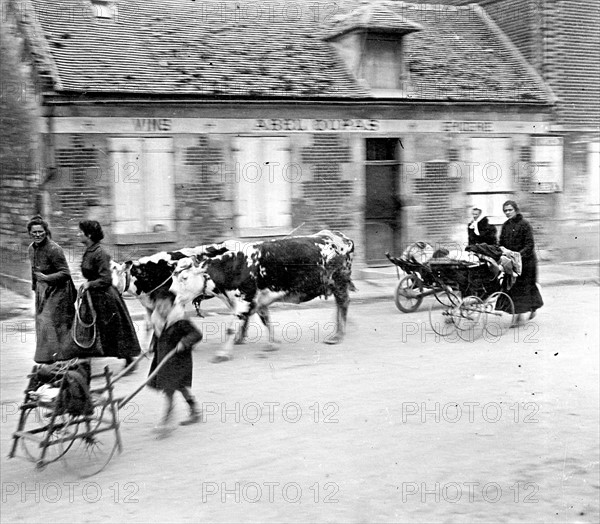 Battle of the Somme, 1916