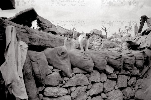 Bataille de la Somme, 1916