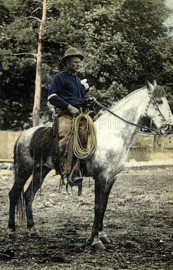 Bill Reynolds, Cow-Boys chief