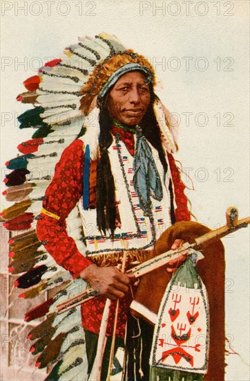 Postcard representing Indian chief "Tall crane"