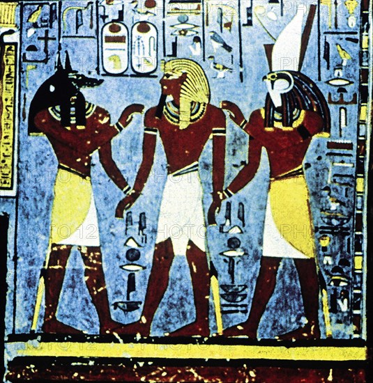 Hieroglyphics in the Tomb of Horemheb