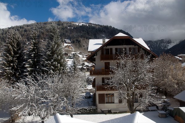 Snowy landscape