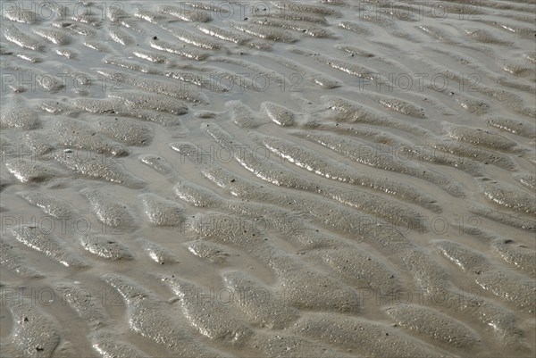 Low water at Ronce le Bains, France