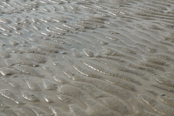 Low water at Ronce le Bains, France