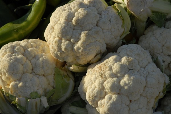 2008, marché fruits et légumes, choux fleurs, Tunisie
