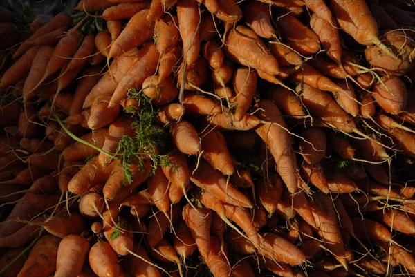 2008, marché fruits et légumes, carottes, Tunisie