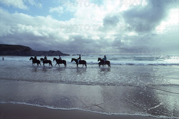 plage, chevaux, soir, cavaliers, nature , paysage, mer,
belle ile en mer