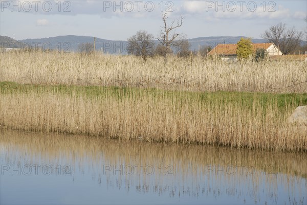 2009, Hyères, 83400, paysage, reflets dans l'eau, vegetaux, canal