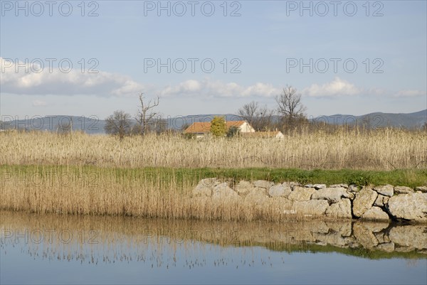 2009, Hyères, 83400, paysage, reflets dans l'eau, vegetaux, canal