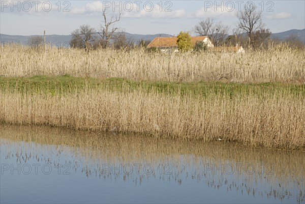 2009, Hyères, 83400, paysage, reflets dans l'eau, vegetaux, canal